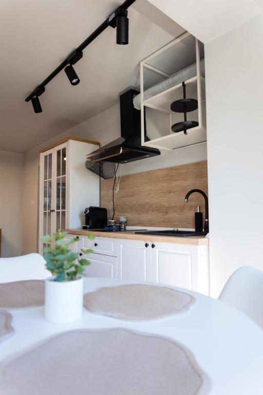 Apartament 209 Άλμπα Ιούλια Εξωτερικό φωτογραφία
